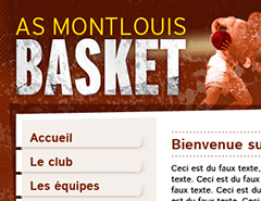 AS Montlouis Basket