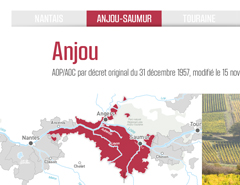 Guide des appellations des vins de Loire